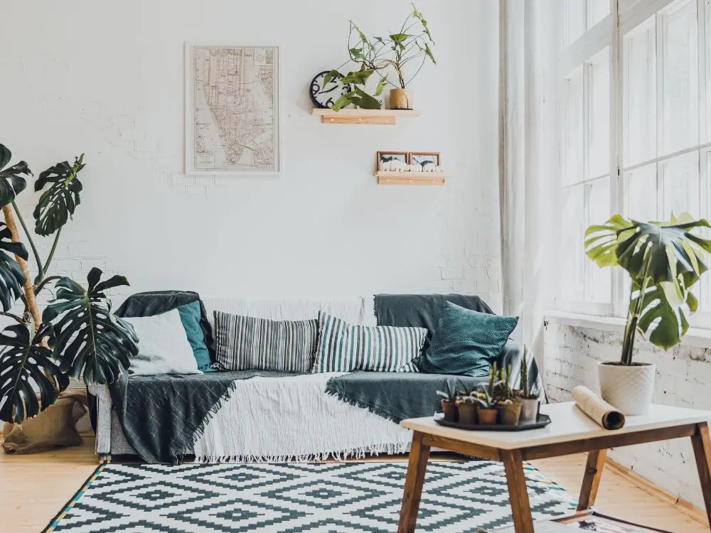Interior designer's styling advice in a bright neutral room