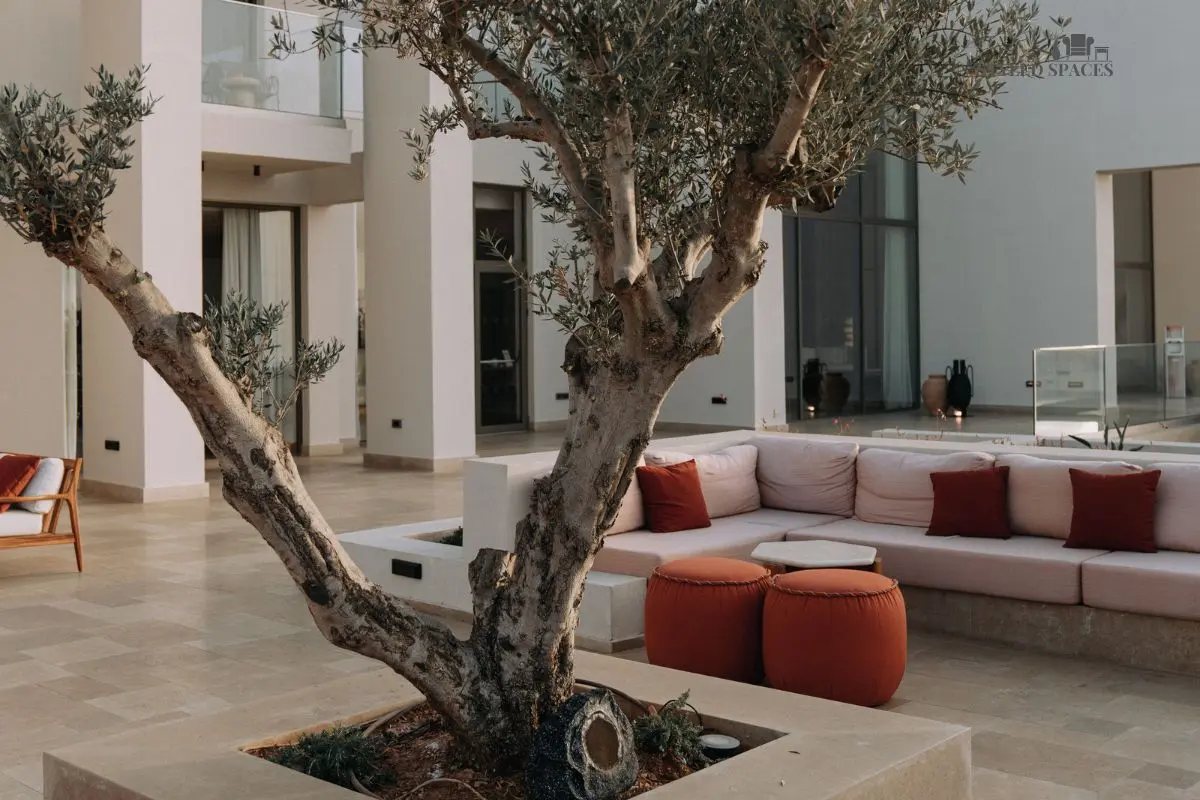 Shop planters and decor