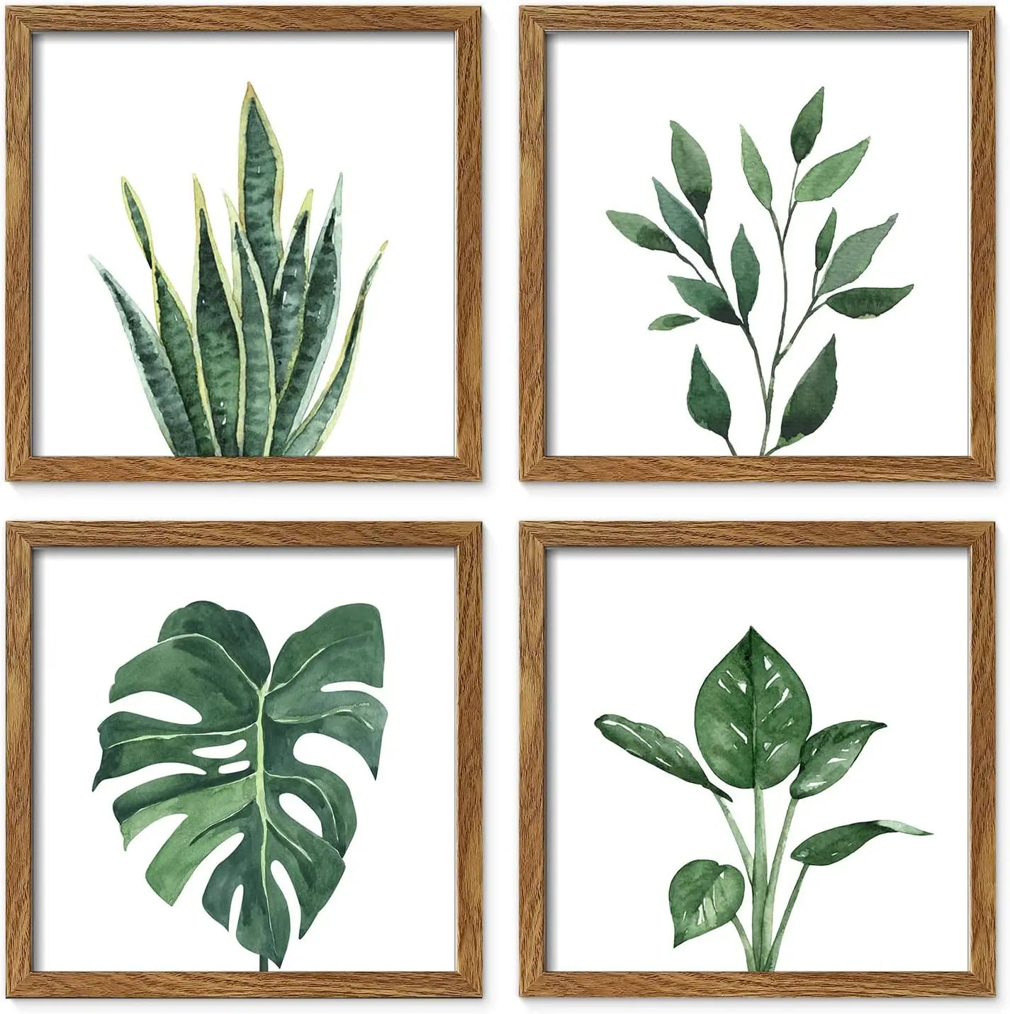 ArtbyHannah sage botanical gallery wall set in walnut frames